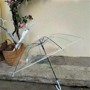 umbrella